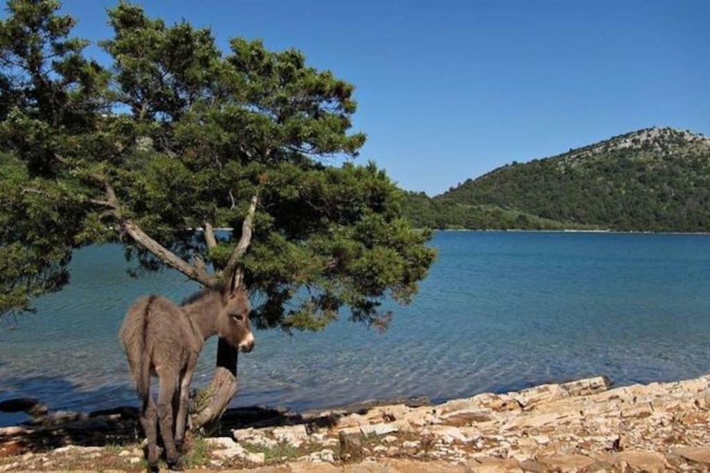 Apartment Lordanic Zaglav, Dugi Otok المظهر الخارجي الصورة