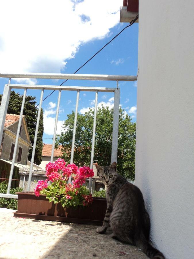 Apartment Lordanic Zaglav, Dugi Otok المظهر الخارجي الصورة
